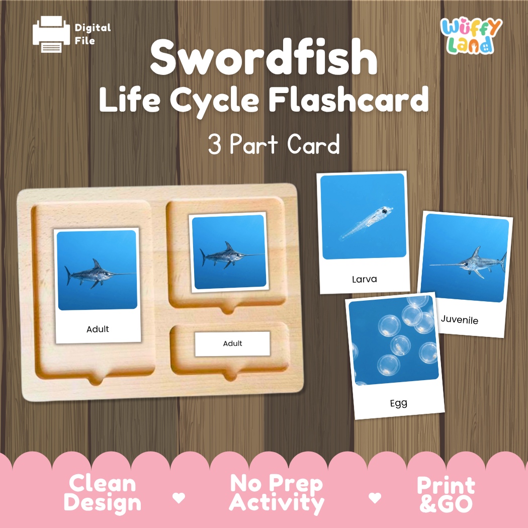Swordfish Life Cycle Flashcard set by Wiffy Land, featuring a wooden 3-part card tray with adult and juvenile cards, plus separate larva and egg cards, shown on a wood-grain background with promotional text.