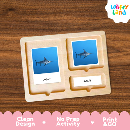 A wooden Montessori-style activity board with two labeled slots reading 'Adult' and two blue photo cards showing a marlin, placed on a brown wood-grain surface. A 'Wuffy Land' logo appears in the top right, and a pink banner at the bottom lists product benefits: 'Clean Design,' 'No Prep Activity,' and 'Print & GO.
