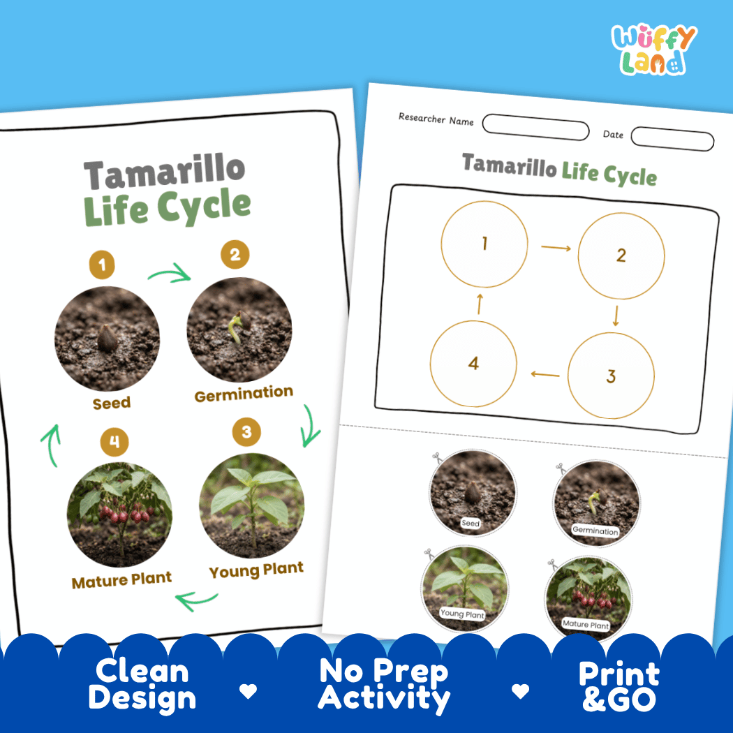 Print and go digital PDF plant science activity featuring clean design layout, researcher name line, and zero prep classroom format