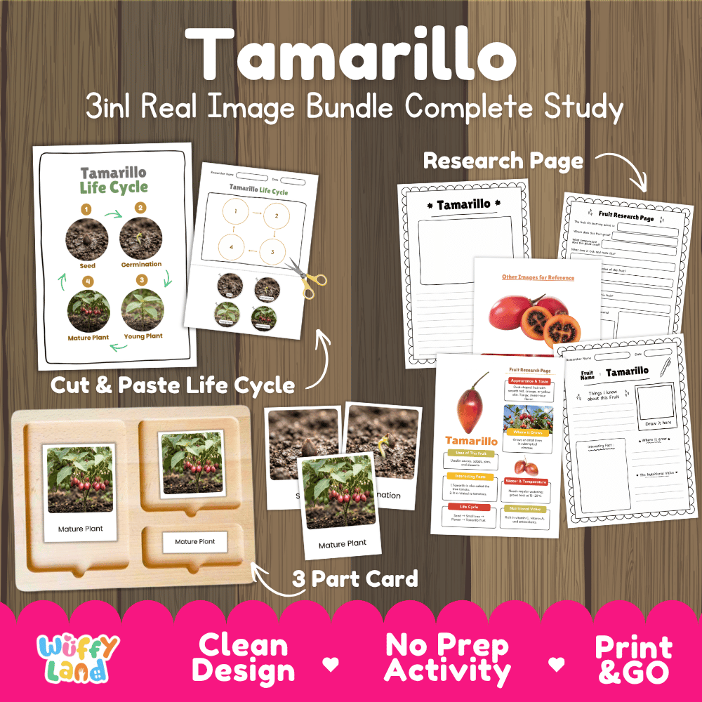 Tamarillo tree life cycle 3in1 real image bundle complete study overview featuring cut and paste worksheets, Montessori 3-part cards, and research pages from Wuffy Land 🍅🌱