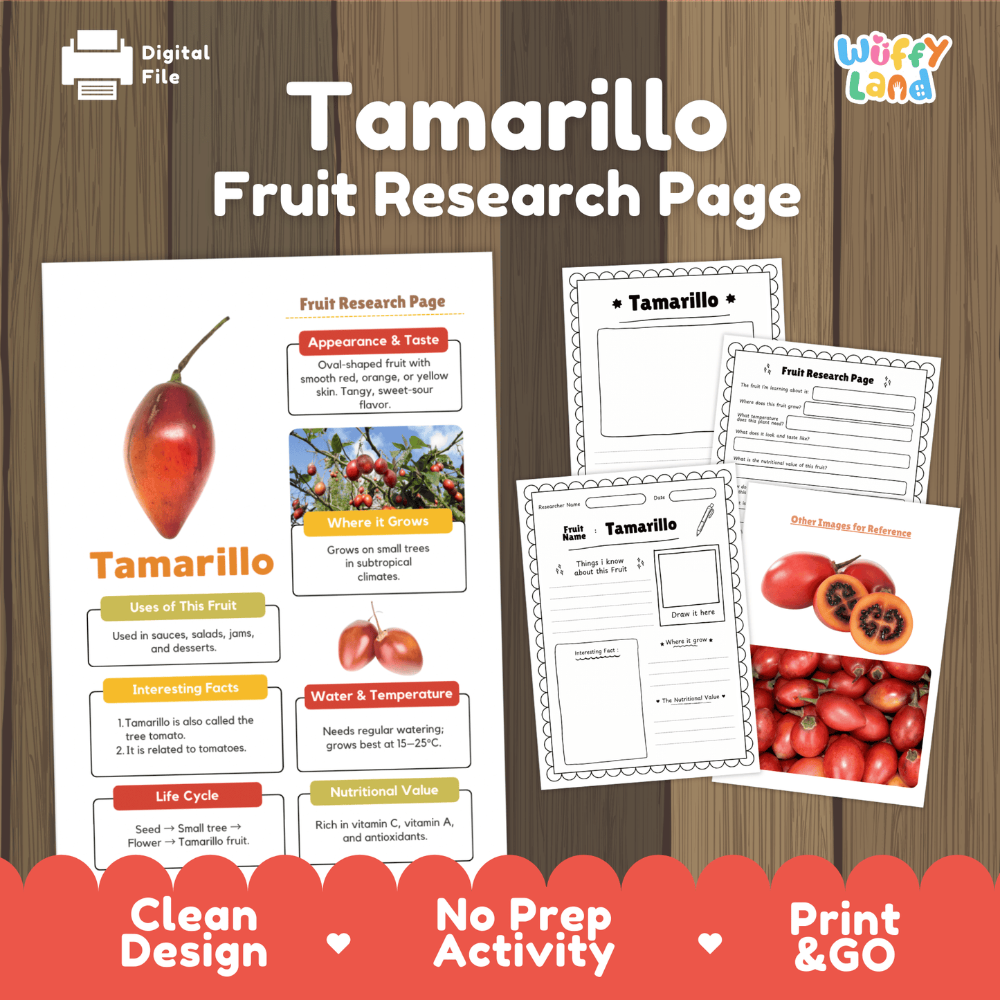 Tamarillo Fruit Research Activity Worksheet Science Exotic Fruit Tree Tomato