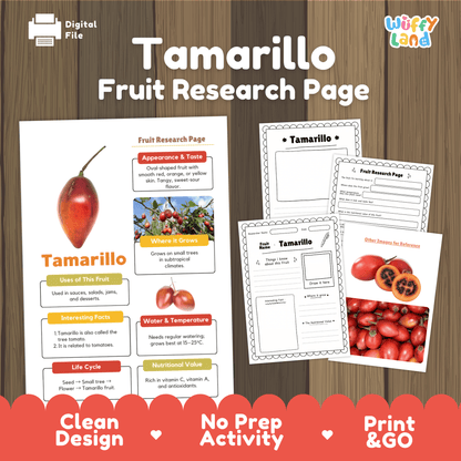 Tamarillo Fruit Research Activity Worksheet Science Exotic Fruit Tree Tomato