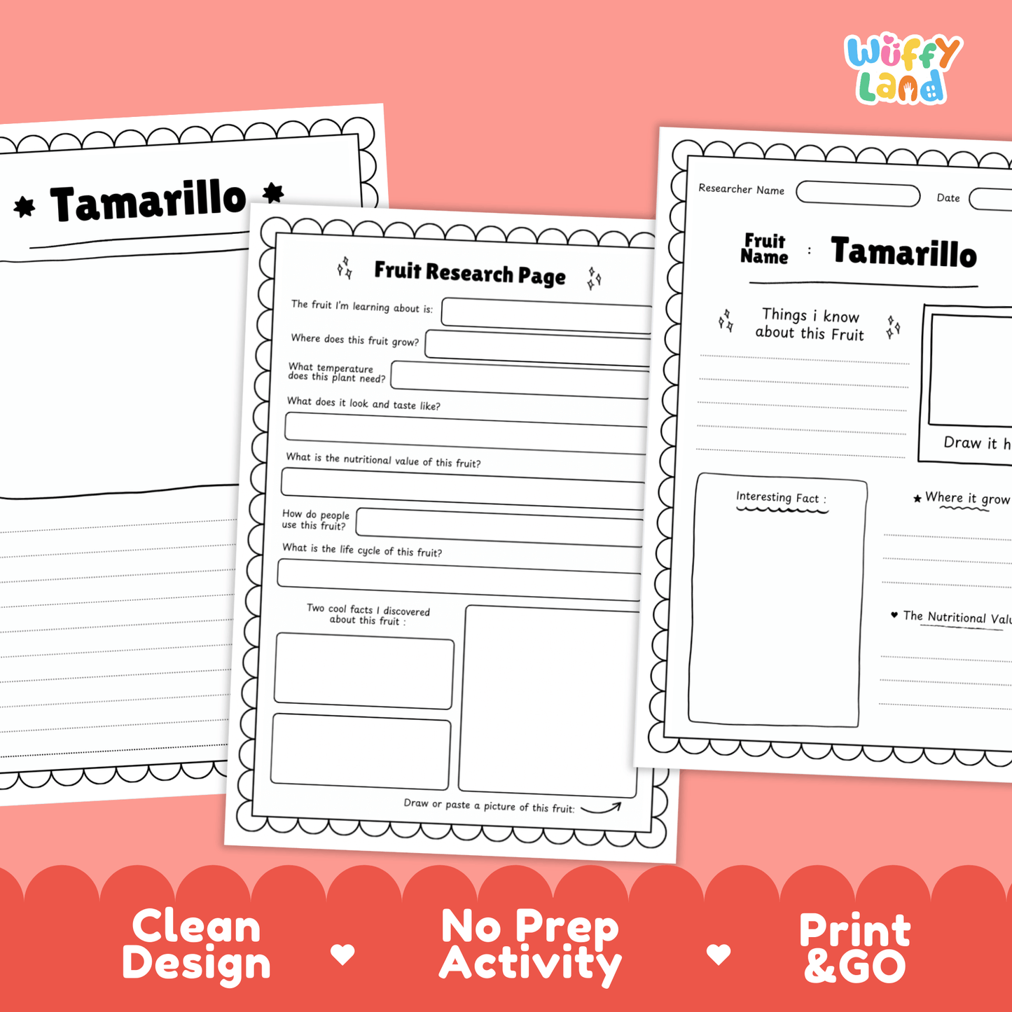 Tamarillo Fruit Research Activity Worksheet Science Exotic Fruit Tree Tomato