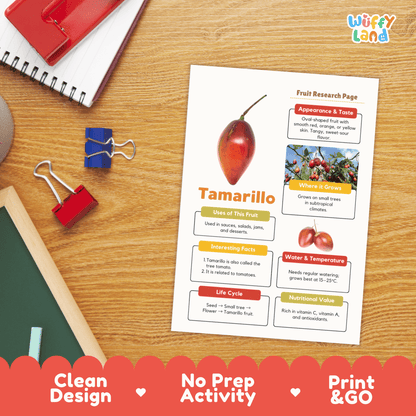 Tamarillo Fruit Research Activity Worksheet Science Exotic Fruit Tree Tomato