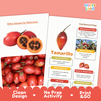 Tamarillo Fruit Research Activity Worksheet Science Exotic Fruit Tree Tomato
