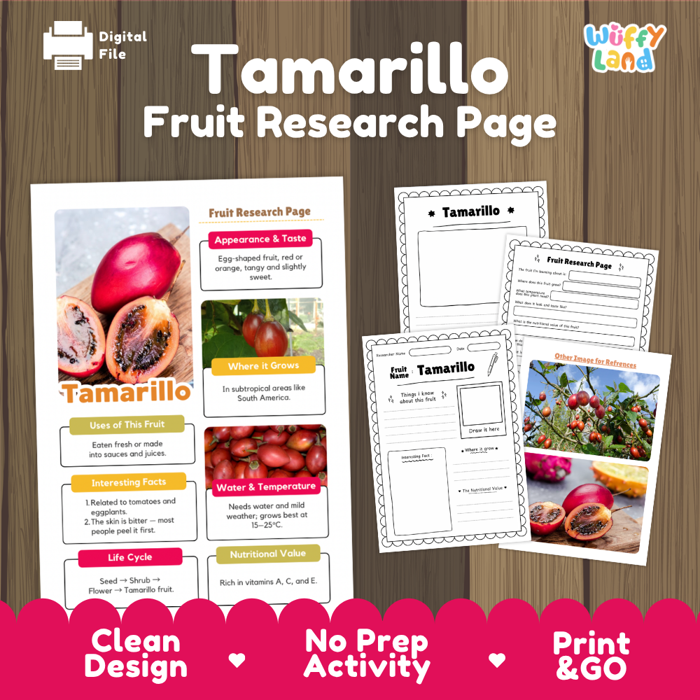 Tamarillo Fruit Research Page Worksheets and Fact Sheet
