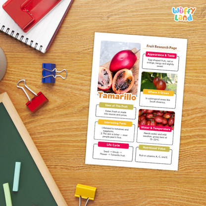 Tamarillo Fruit Research Page Worksheets and Fact Sheet