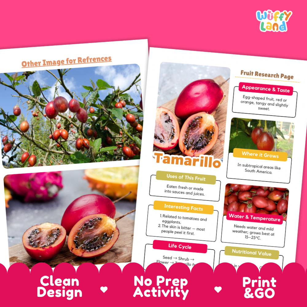 Two printed educational activity sheets about tamarillo fruit displayed on a bright pink background. The left sheet shows photos of tamarillo trees and cut fruit, and the right sheet contains labeled sections for appearance, taste, where it grows, uses, interesting facts, water/temperature, and life cycle.