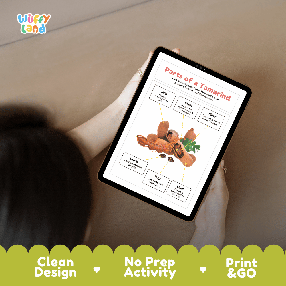 Educational cut and paste tamarind pod anatomy worksheet with printable word cutout tiles for skin, shell, stem, fiber, pulp, and seeds