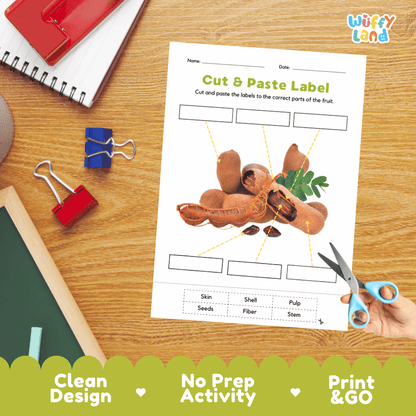 Printable plant biology worksheet showing an opened realistic tamarind pod with blank labeling boxes and a vocabulary word bank for writing practice
