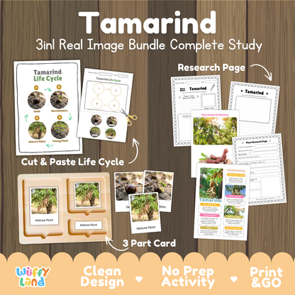 Tamarind 3-in-1 real image bundle complete study cover showing cut and paste life cycle, 3 part cards, and research pages