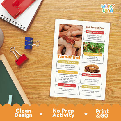 Tamarind Fruit Research Activity Worksheet Science Exotic Fruit Cultural Foods