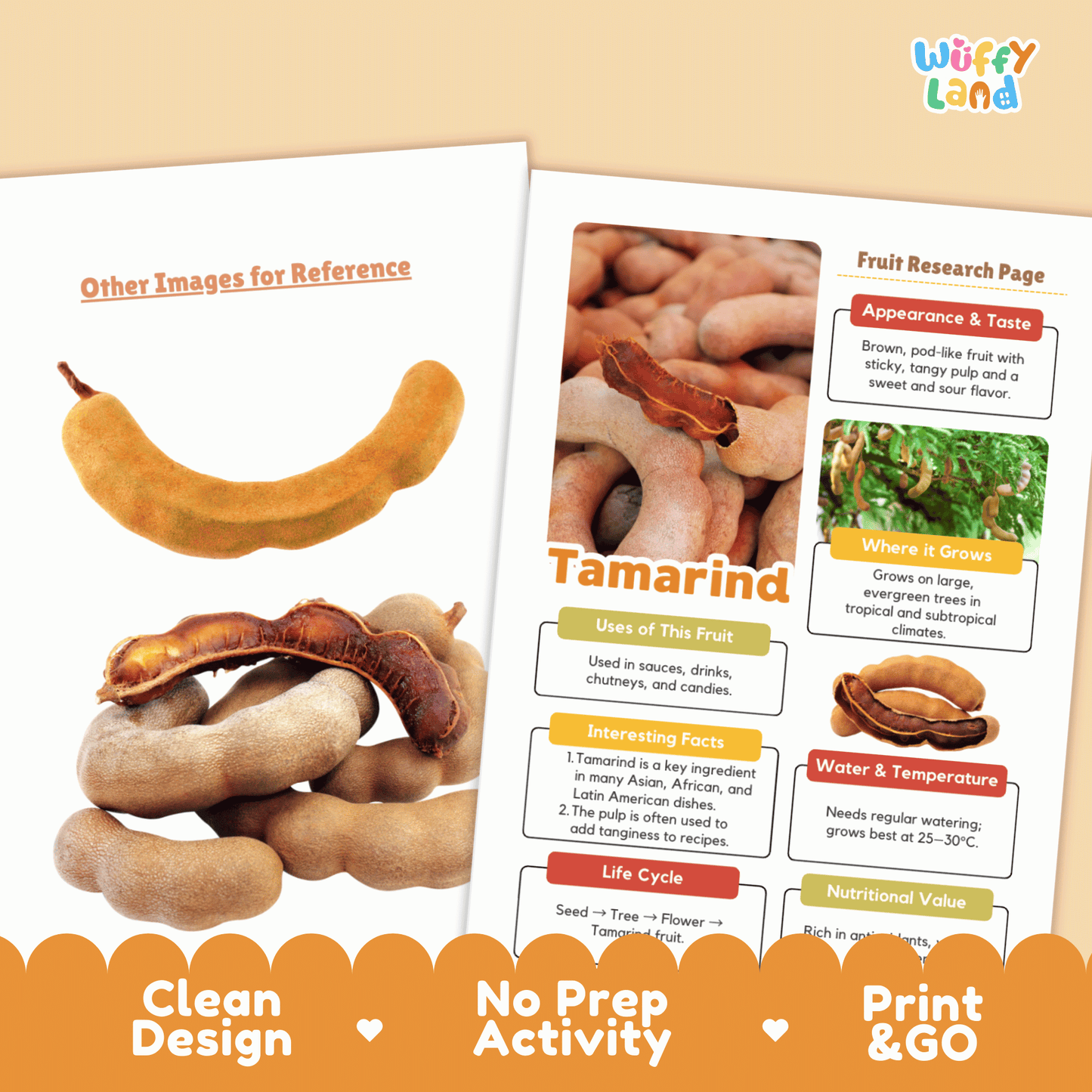 Tamarind Fruit Research Activity Worksheet Science Exotic Fruit Cultural Foods