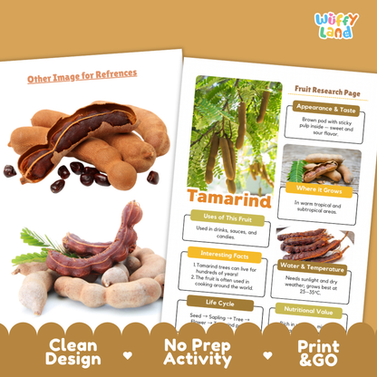 Tamarind Fruit Research Page Worksheets and Fact Sheet