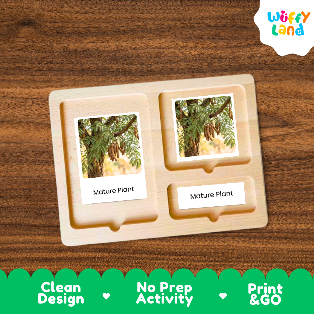 A wooden Montessori-style activity tray with two photo slots showing a mature plant image and the text 'Mature Plant,' placed on a brown wood surface. A 'Wuffy Land' logo appears in the top right, and a green banner at the bottom reads 'Clean Design,' 'No Prep Activity,' and 'Print & GO.