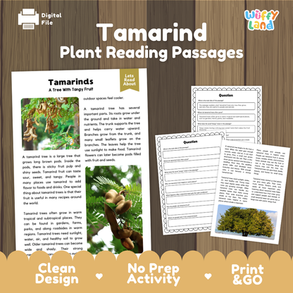 Tamarind Plant Reading Passages Worksheets and Comprehension Activity