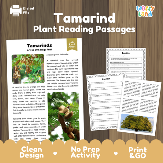 Tamarind Plant Reading Passages Worksheets and Comprehension Activity