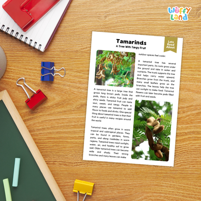 Tamarind Plant Reading Passages Worksheets and Comprehension Activity