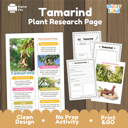 Tamarind Plant Research Page Worksheets and Fact Sheet