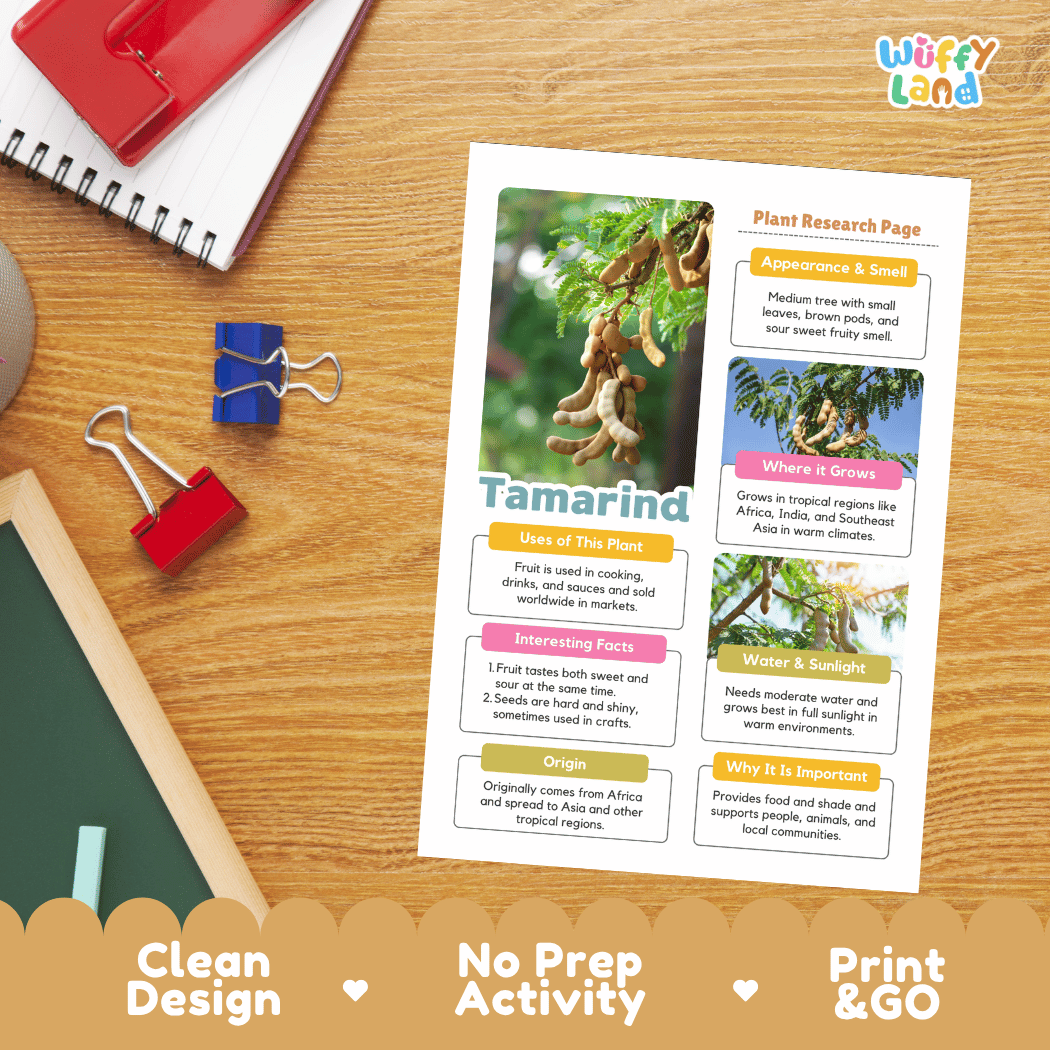 Tamarind Plant Research Page Worksheets and Fact Sheet