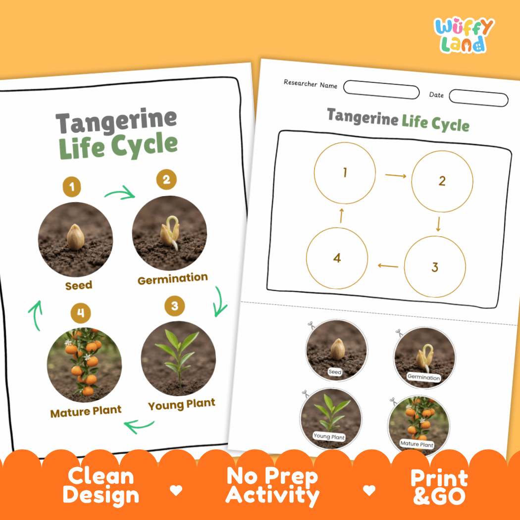 Print and go digital PDF plant science activity featuring clean design, researcher name line, and zero prep classroom layout