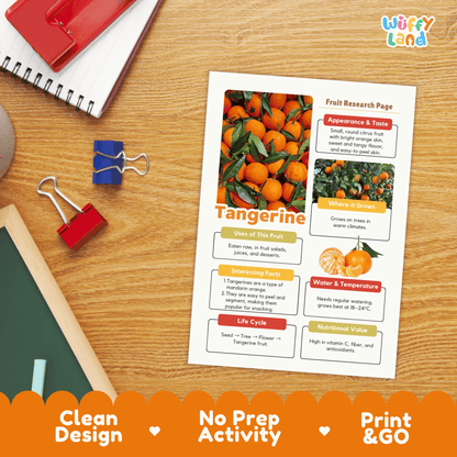 Tangerine Fruit Research Activity Worksheet Science Healthy Eating Citrus