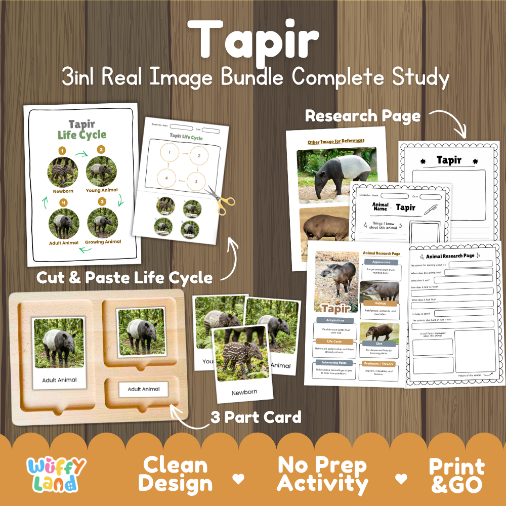 Tapir 3-in-1 real image bundle complete study cover showing cut and paste life cycle, 3 part cards, and research pages