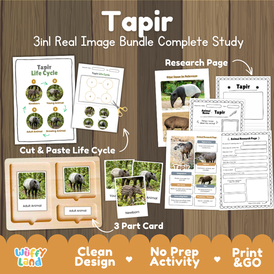 Tapir 3-in-1 real image bundle complete study cover showing cut and paste life cycle, 3 part cards, and research pages