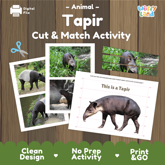 Tapir Cut and Match Activity Worksheets | Animal Puzzle Printables