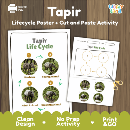 Tapir Life Cycle Poster and Cut and Paste Activity Worksheets
