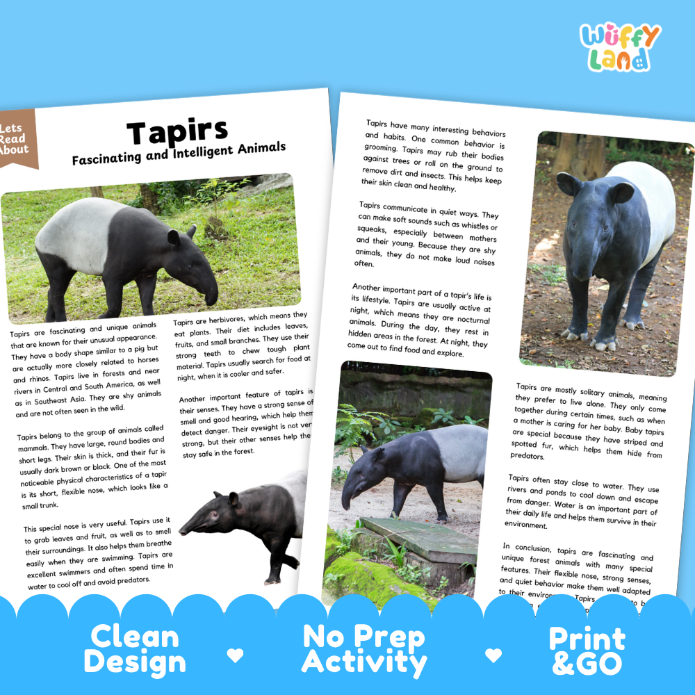 Tapirs Reading Passage and Comprehension Questions Worksheets with Answer Key