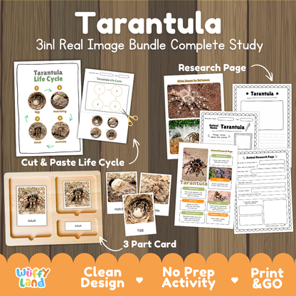 Tarantula 3-in-1 real image bundle complete study cover showing cut and paste life cycle, 3 part cards, and research pages