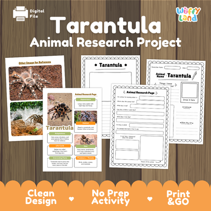 Digital download activity sheet set titled 'Tarantula Animal Research Project' on a wood background, showing worksheet pages and reference images with the brand name 'Wiffly Land' in the top right.
