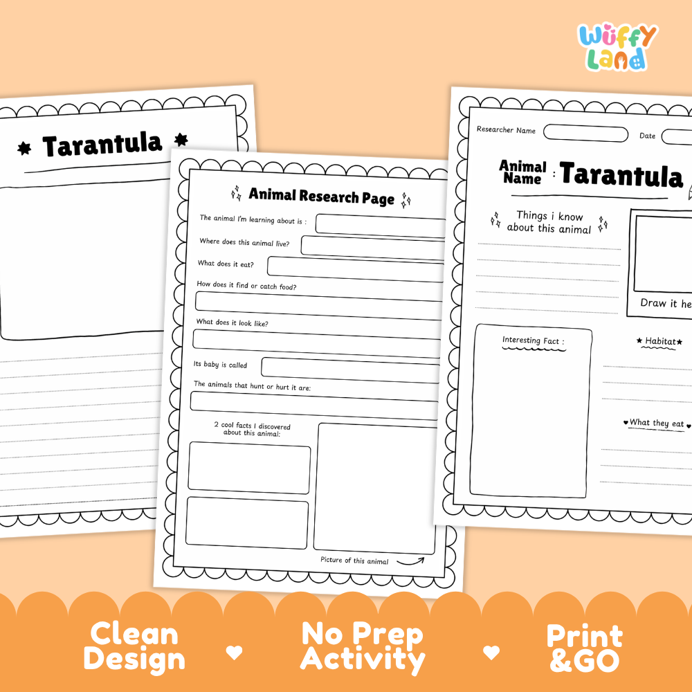 Three printable worksheet pages for a tarantula animal research activity are shown on an orange background. The pages include title and text fields for writing about the animal, with decorative scalloped borders and the Wiffy Land logo in the top right.