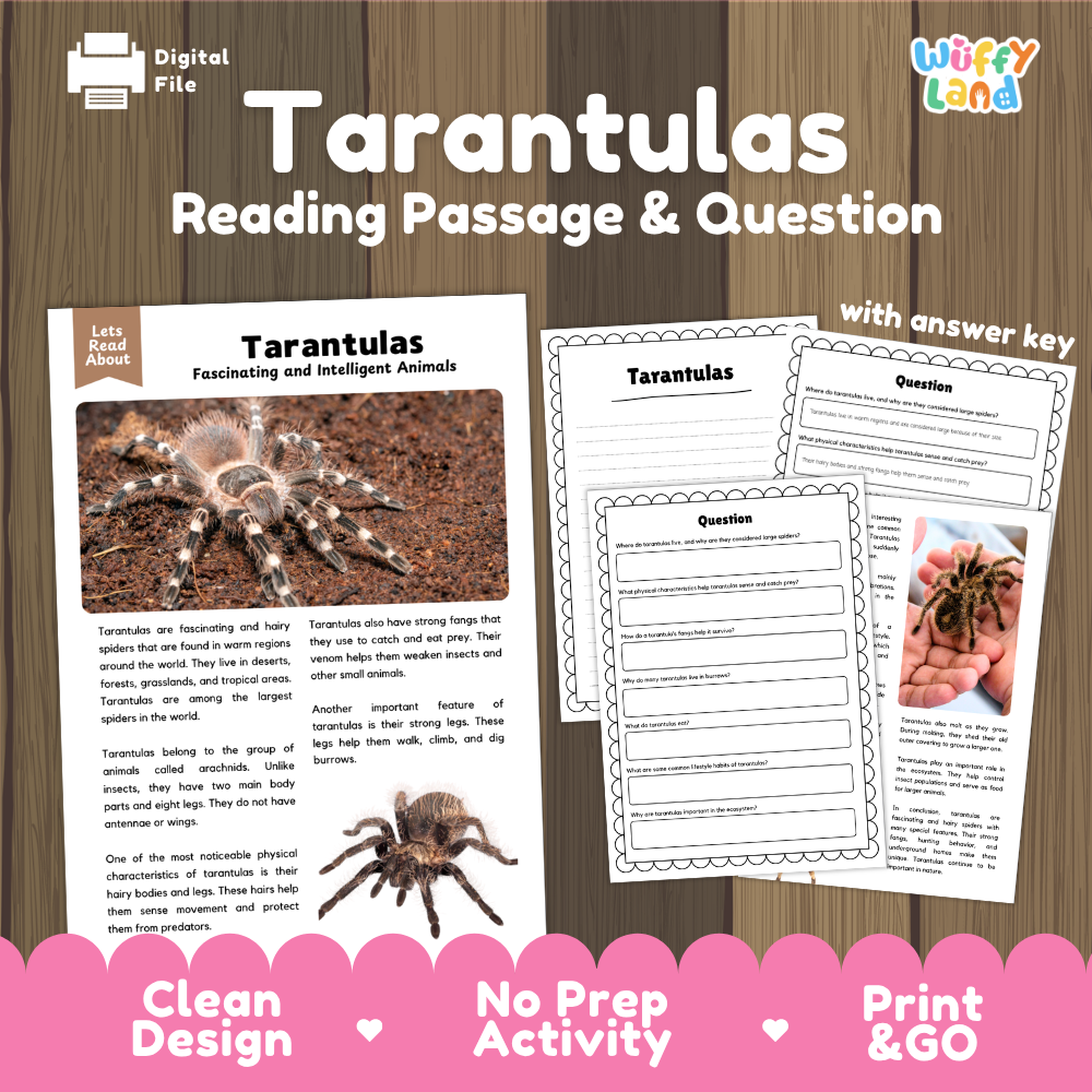 Digital reading activity sheet set about tarantulas, shown on a wood background with a pink banner at the bottom. The set includes a reading passage with a tarantula photo, a question page, and an answer key page.