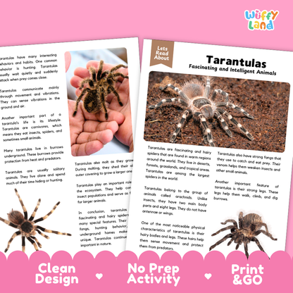 Tarantulas Reading Passage and Comprehension Questions Worksheets with Answer Key