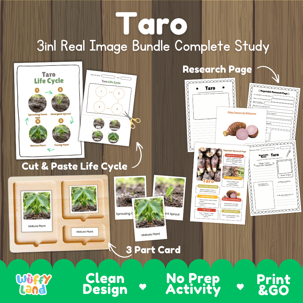 Taro 3in1 real image bundle complete study printable featuring life cycle cut and paste worksheets, Montessori 3-part cards, and research pages