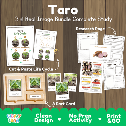 Taro 3in1 real image bundle complete study printable featuring life cycle cut and paste worksheets, Montessori 3-part cards, and research pages