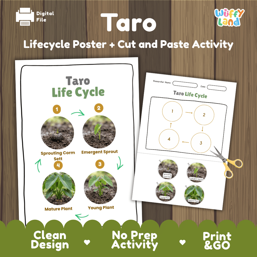 Taro plant life cycle educational printable pack cover showing visual reference poster and cut and paste sequencing worksheet with real photography