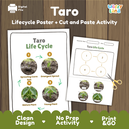 Taro plant life cycle educational printable pack cover showing visual reference poster and cut and paste sequencing worksheet with real photography
