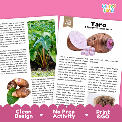 Teacher answer key page showing complete question solutions for taro reading comprehension practice