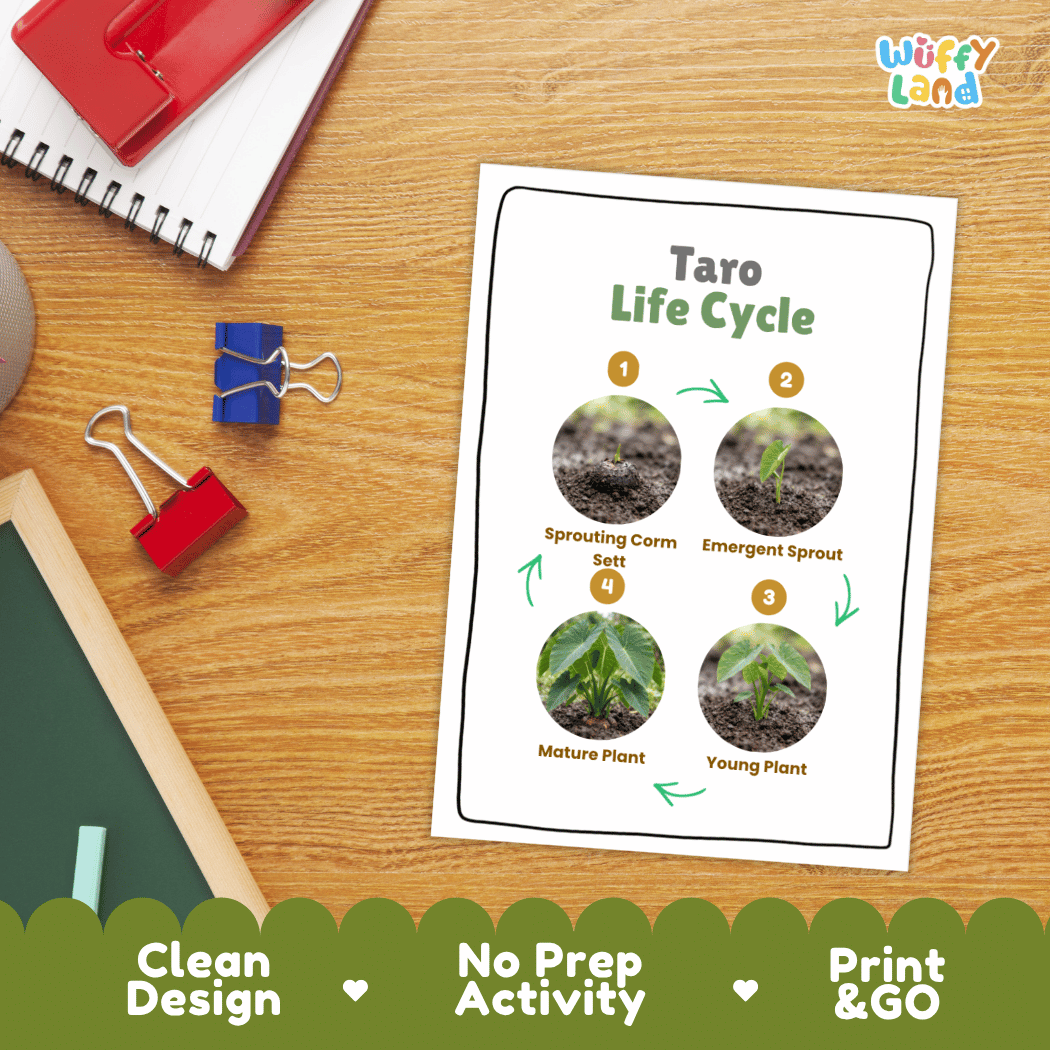Hands-on cut and paste science worksheet for students to cut real photo tokens and sequence taro growth stages onto numbered circles