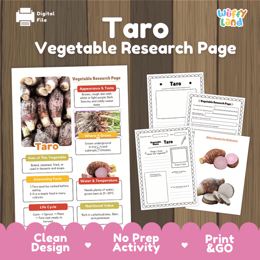 Student vegetable research page writing worksheets with real sliced and whole taro root corm photos, lined note-taking prompts, and drawing frames