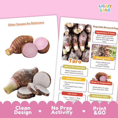 Taro Vegetable Research Page Science Worksheets and Fact Sheet