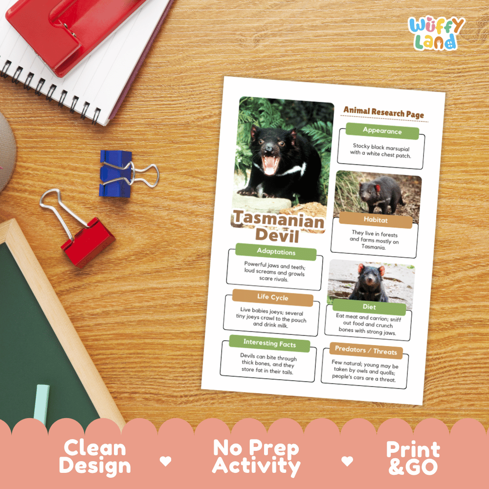 Tasmanian Devil Animal Research Page Graphic Organizers and Worksheets