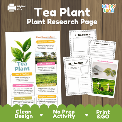 Tea Plant Plant Research Worksheets and Informational Fact Sheets