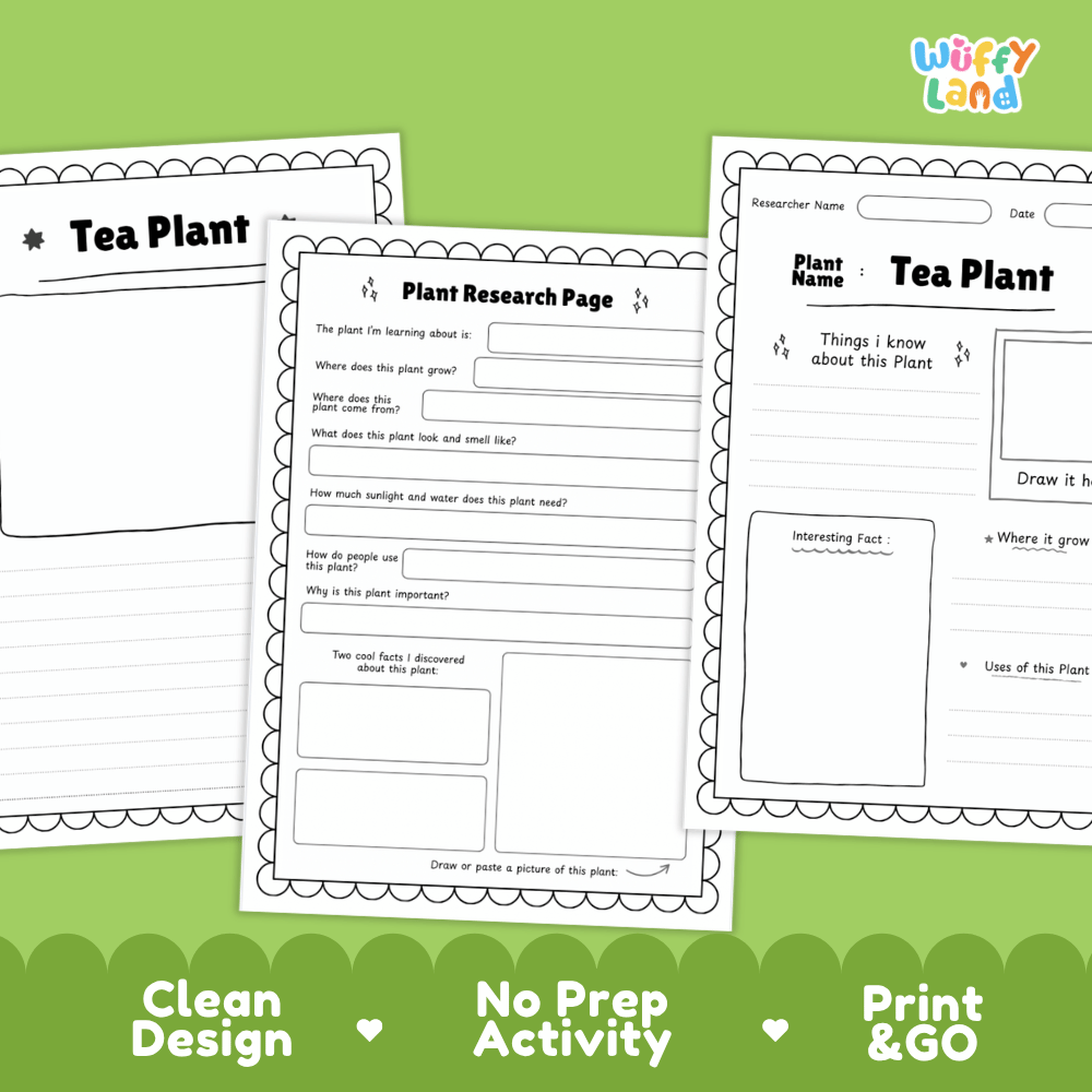 Tea Plant Plant Research Worksheets and Informational Fact Sheets