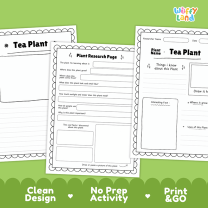 Tea Plant Plant Research Worksheets and Informational Fact Sheets