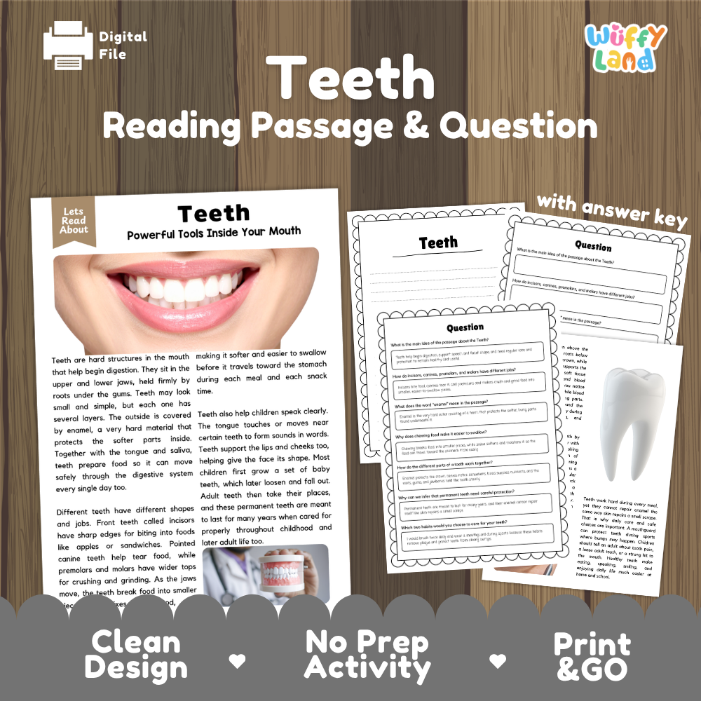 Teeth reading comprehension passage and questions printable activity pack with answer key for elementary students