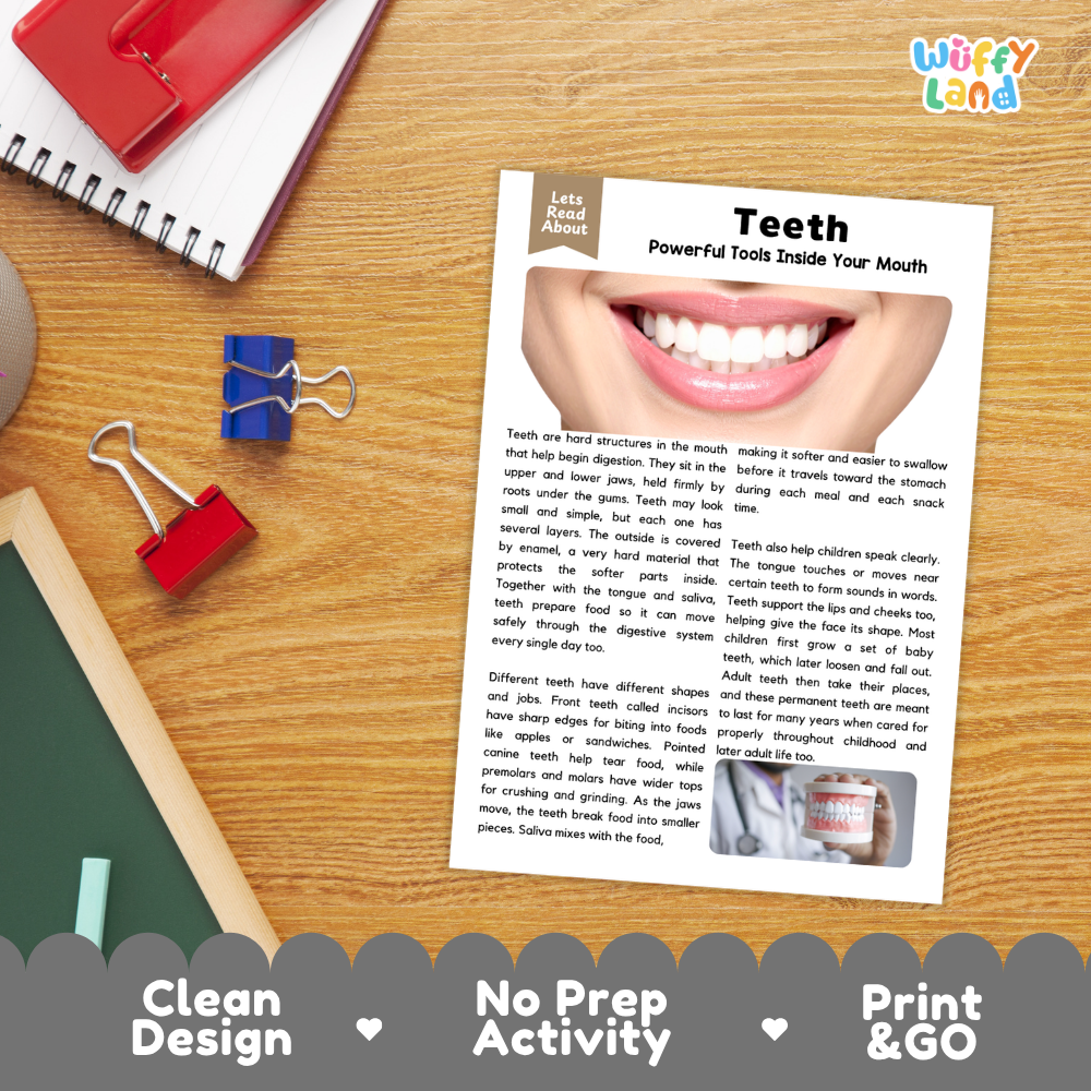 Student reading comprehension worksheet with short-answer questions and lined sections about human teeth